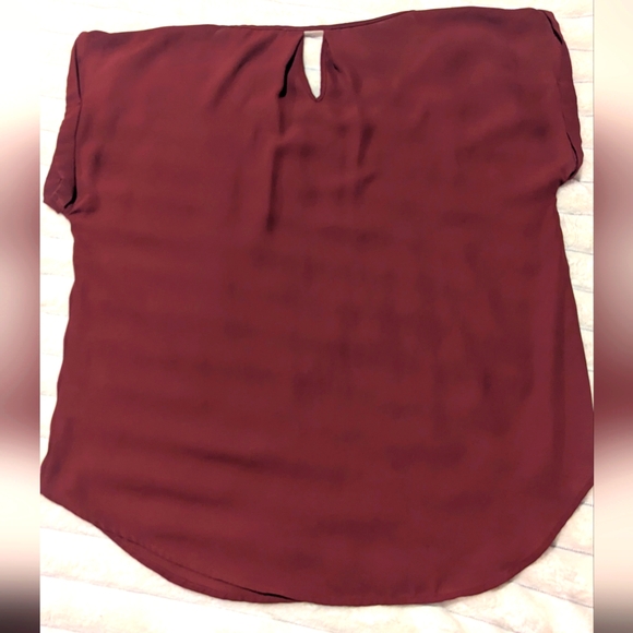 Sheer Pink Rose Burgundy Blouse - Picture 2 of 5